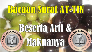 Bacaan surat at tin dengan arti dan makna.